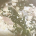 【ツナ缶で簡単】ニラと豆腐のチャンプルー