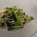 包丁いらず☆簡単水菜サラダ