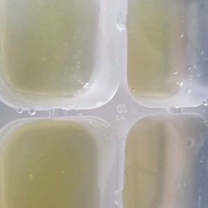 離乳食初期 冷凍可 メロン レシピ 作り方 By 料理ニガテ系女子 クックパッド 簡単おいしいみんなのレシピが361万品