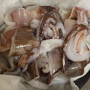 むぎいか するめいか の下処理 レシピ 作り方 By Dentack クックパッド 簡単おいしいみんなのレシピが356万品