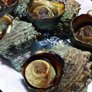 グリルで簡単 サザエのつぼ焼き レシピ 作り方 By イベリコ クックパッド 簡単おいしいみんなのレシピが358万品