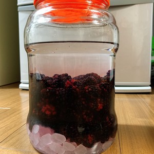 ブラックベリー酒 果実酒 経過日記 レシピ 作り方 By あずちもも クックパッド 簡単おいしいみんなのレシピが357万品