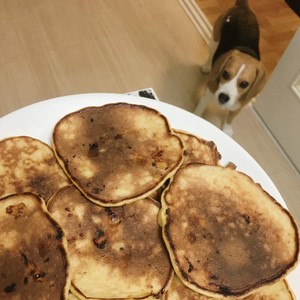 りんごのホットケーキ 犬用 レシピ 作り方 By 維人ねぇ クックパッド 簡単おいしいみんなのレシピが349万品