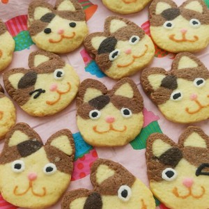 かわいい犬のブル アイスボックスクッキー レシピ 作り方 By プクル クックパッド 簡単おいしいみんなのレシピが352万品