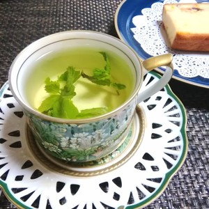 ハーブティー 摘みたてミントティー レシピ 作り方 By Michika クックパッド 簡単おいしいみんなのレシピが357万品