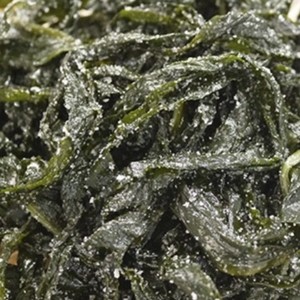 塩蔵わかめの冷凍保存 レシピ 作り方 By さやもな925 クックパッド 簡単おいしいみんなのレシピが352万品