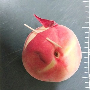 私の桃の剥き方 レシピ 作り方 By うさぎのルーク クックパッド 簡単おいしいみんなのレシピが359万品