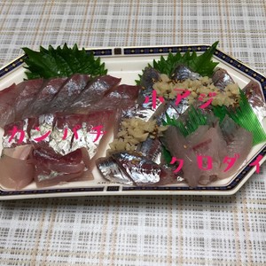 カンパチ シマアジのお刺身 レシピ 作り方 By クックくみお クックパッド 簡単おいしいみんなのレシピが364万品