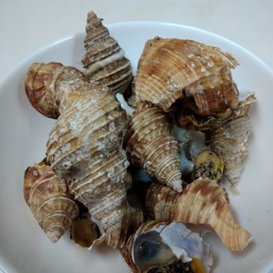 つぶ貝の塩ゆで レシピ 作り方 By 赤紫芋介 クックパッド 簡単おいしいみんなのレシピが354万品
