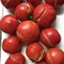 生トマトで簡単自家製トマトソース☆