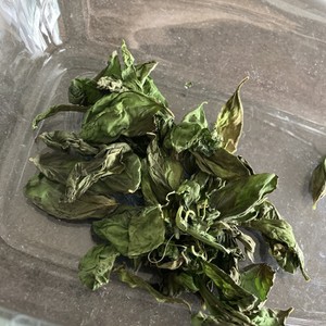レンジで簡単 ドライバジルの作り方 レシピ 作り方 By まなげ クックパッド 簡単おいしいみんなのレシピが351万品