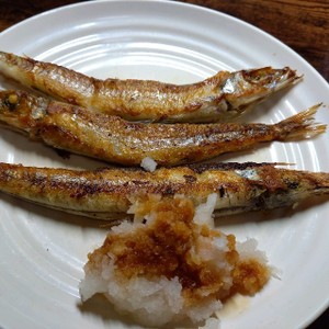 二ギスの塩焼きフライパンで レシピ 作り方 By Mikasama67 クックパッド 簡単おいしいみんなのレシピが354万品