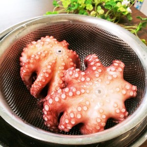 釣り生のマダコの茹で方 タコの下処理