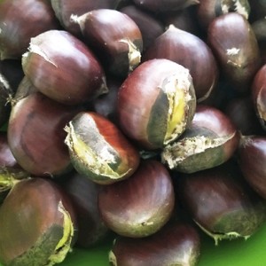 焼き栗風 ポロッと皮むき簡単 茹で栗 レシピ 作り方 By さお りんご クックパッド 簡単おいしいみんなのレシピが361万品