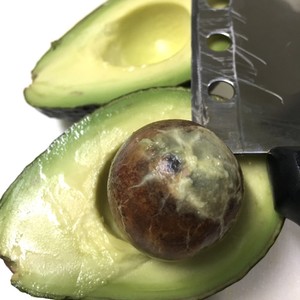 アボカドの種の取り方 レシピ 作り方 By Superlittleboo クックパッド 簡単おいしいみんなのレシピが350万品