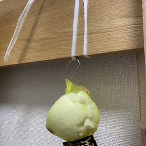 ウチの副作用無し咳止め 安眠方法 玉ねぎ レシピ 作り方 By Spain クックパッド 簡単おいしいみんなのレシピが359万品