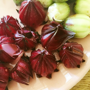 超簡単 ローゼルの種取り レシピ 作り方 By 宮古島ぱりぱり市場 クックパッド 簡単おいしいみんなのレシピが354万品