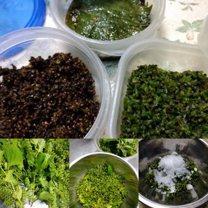 基本の穂紫蘇の塩漬け レシピ 作り方 By 農pro クックパッド 簡単おいしいみんなのレシピが355万品