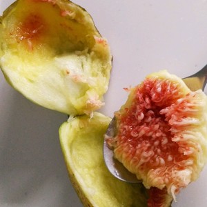 スプーンで簡単いちじくのむき方 食べ方 のつくれぽ クックパッド 簡単おいしいみんなのレシピが356万品