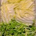 長持ち！水菜の冷蔵、冷凍保存方法