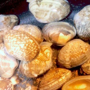 50度洗い 短時間であさりの砂抜き レシピ 作り方 By Taki クックパッド 簡単おいしいみんなのレシピが356万品