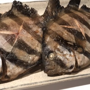 旨味がたっぷりの石鯛の煮付け レシピ 作り方 By Sakanaにいさん クックパッド 簡単おいしいみんなのレシピが366万品