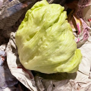 最長３週間 レタス キャベツの保存方法のつくれぽ クックパッド 簡単おいしいみんなのレシピが355万品