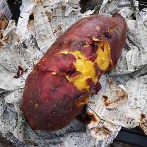 メチャ旨 焼き芋 アウトドア編 レシピ 作り方 By きっかママ クックパッド 簡単おいしいみんなのレシピが360万品