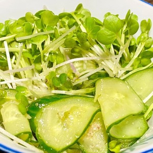 きゅうりとかいわれサラダ レシピ 作り方 By ロバート馬場裕之 クックパッド 簡単おいしいみんなのレシピが361万品