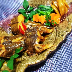 マゴチ 真鯒 の煮つけ レシピ 作り方 By みかんるい クックパッド 簡単おいしいみんなのレシピが361万品