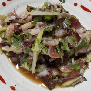 捨てる部位でもう１品 たこ皮ねぎポン酢 レシピ 作り方 By 甘夏 元魚屋 調理師 クックパッド 簡単おいしいみんなのレシピが361万品