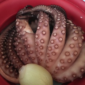 困った時に 生タコの茹で方 レシピ 作り方 By るじたにあの妻たち クックパッド 簡単おいしいみんなのレシピが360万品