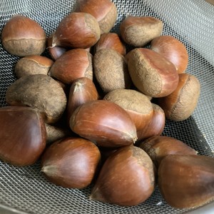 田舎の茹で栗 栗のゆで方 レシピ 作り方 By みせす まあさ クックパッド 簡単おいしいみんなのレシピが355万品