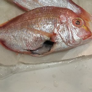 基本 鯛の下処理 片付け 鱗も楽々 レシピ 作り方 By サチsachi クックパッド 簡単おいしいみんなのレシピが353万品