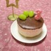 チョコレートチーズケーキ(ゼラチン無し)
