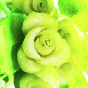 簡単 小松菜でバラ 緑の薔薇に見える レシピ 作り方 By 美妃代mama クックパッド 簡単おいしいみんなのレシピが353万品