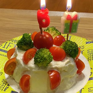 犬用バースデーケーキ レシピ 作り方 By コテツママ クックパッド 簡単おいしいみんなのレシピが349万品