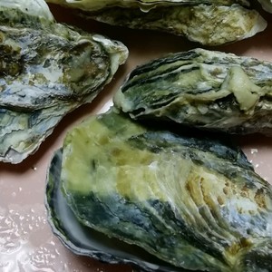 殻つき牡蠣をレンジdeポン レシピ 作り方 By うちたえ クックパッド 簡単おいしいみんなのレシピが361万品