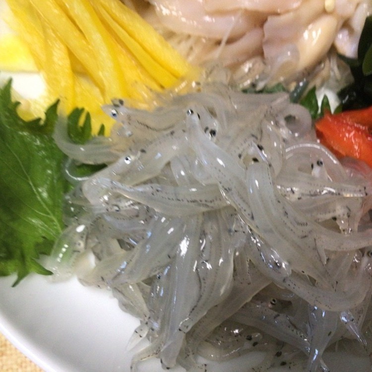 シラウオ 生 の下ごしらえ レシピ 作り方 By なべ いばらき クックパッド 簡単おいしいみんなのレシピが364万品
