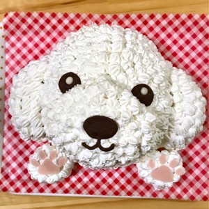 簡単ダッフィー シェリーメイ ケーキ レシピ 作り方 By とんと クックパッド 簡単おいしいみんなのレシピが350万品