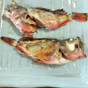 フライパンでカサゴの塩焼き レシピ 作り方 By みかりん本舗 クックパッド 簡単おいしいみんなのレシピが353万品