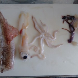 イカのさばき方 ゲソもわたもいただきます レシピ 作り方 By めかまはぉ クックパッド 簡単おいしいみんなのレシピが353万品