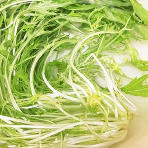 葉物が復活 捨てる前に試してみて のつくれぽ クックパッド 簡単おいしいみんなのレシピが353万品