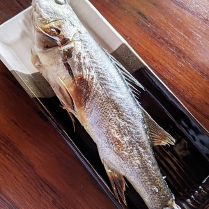 簡単すぎてスイマセン セイゴの塩焼き レシピ 作り方 By てぃさん クックパッド 簡単おいしいみんなのレシピが359万品