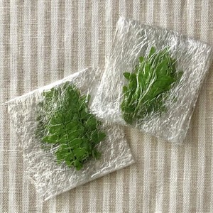 永久保存版 木の芽 山椒の新芽 冷凍保存 レシピ 作り方 By 匡masa クックパッド 簡単おいしいみんなのレシピが358万品