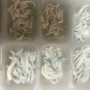 離乳食 しらす干しの冷凍保存 レシピ 作り方 By Kananna08 クックパッド 簡単おいしいみんなのレシピが360万品
