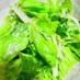 簡単！くせになる！セロリのグリーンサラダ