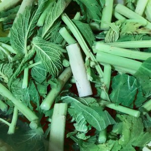 山菜ミズ 下ごしらえ レシピ 作り方 By Dela クックパッド 簡単おいしいみんなのレシピが361万品