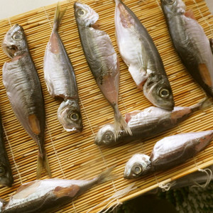自家製 包丁いらず 豆アジの干物 レシピ 作り方 By ネコヤマネコジロウ クックパッド 簡単おいしいみんなのレシピが359万品