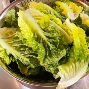 野菜の洗い方 虫が付いている場合 レシピ 作り方 By アンティル クックパッド 簡単おいしいみんなのレシピが364万品